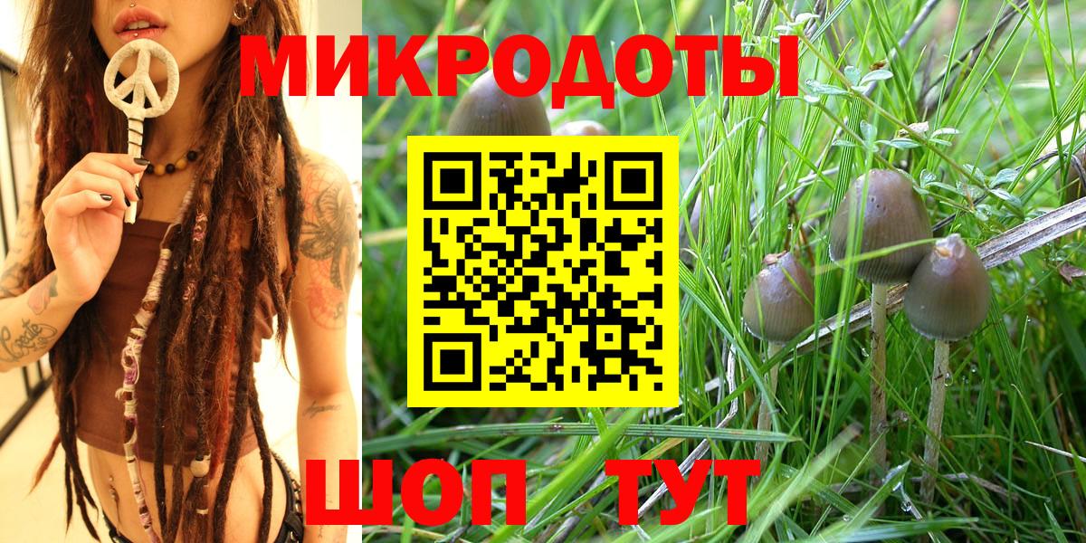Псилоцибиновые грибы Cubensis  где купить наркоту  Вход с VPN  Тольятти  Псилоцибиновые грибы Magic Shrooms 