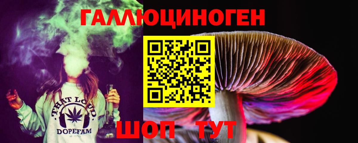 Псилоцибиновые грибы Cubensis Тольятти